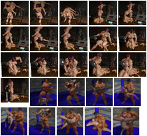 Miscelaneous fight (Serie A) - Image 3